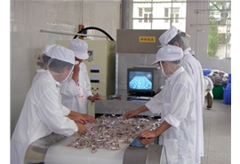 小袋食品微波殺菌調(diào)試現(xiàn)場(chǎng)